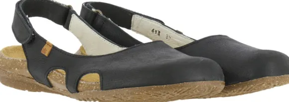 El Naturalista N413