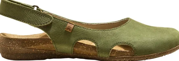 El Naturalista N413