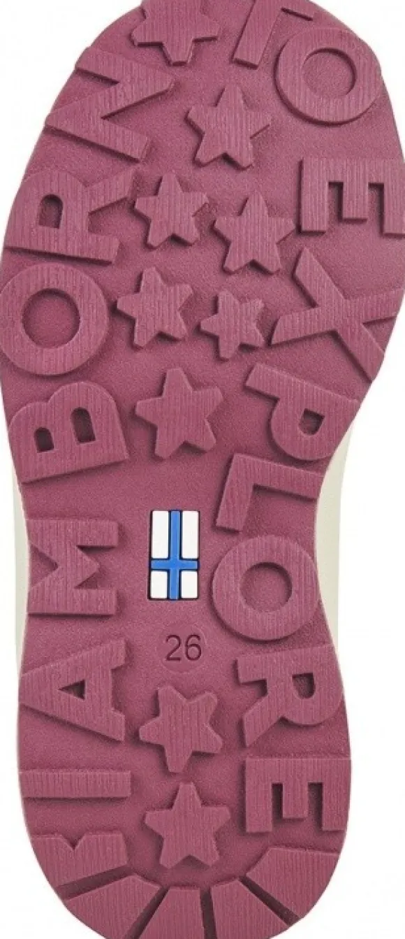 Finkid Lappi