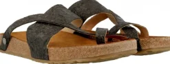 Haflinger Jack