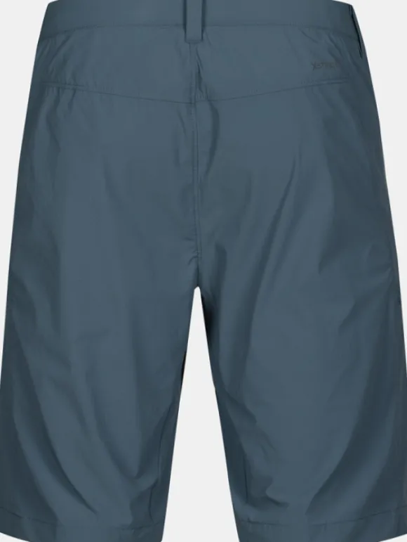 Halti Pallas Cool Mens Stretch Shorts