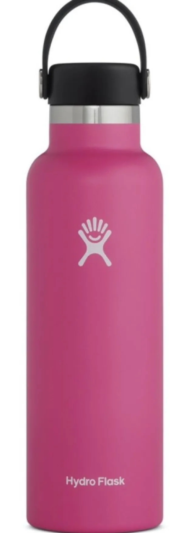 Hydro Flask Standard Mouth Hydro Flask Flex Cap