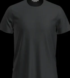 Icebreaker Mens Central Classic SS Tee