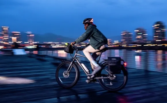 ORTLIEB E-Glow