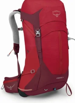 Osprey Stratos 26