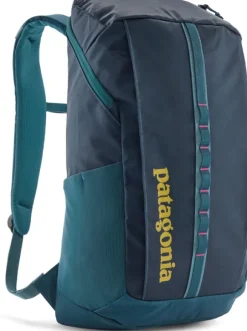 Patagonia Black Hole Pack 25L