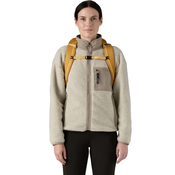 Patagonia Black Hole Pack 25L