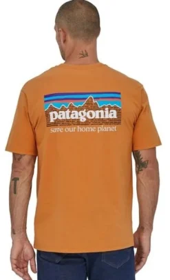 Patagonia Mens P6 Mission Organic T-Shirt