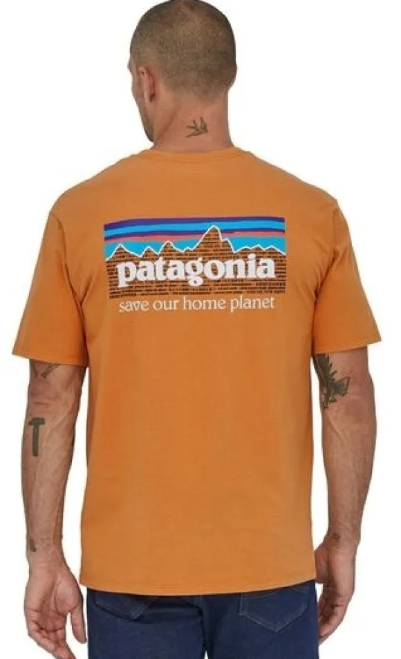 Patagonia Mens P6 Mission Organic T-Shirt