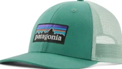 Patagonia P-6 Logo LoPro Trucker Hat