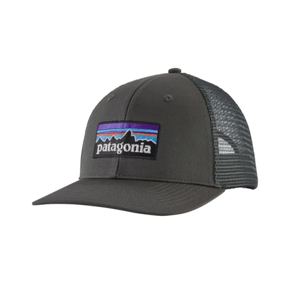 Patagonia P-6 Logo Trucker Hat