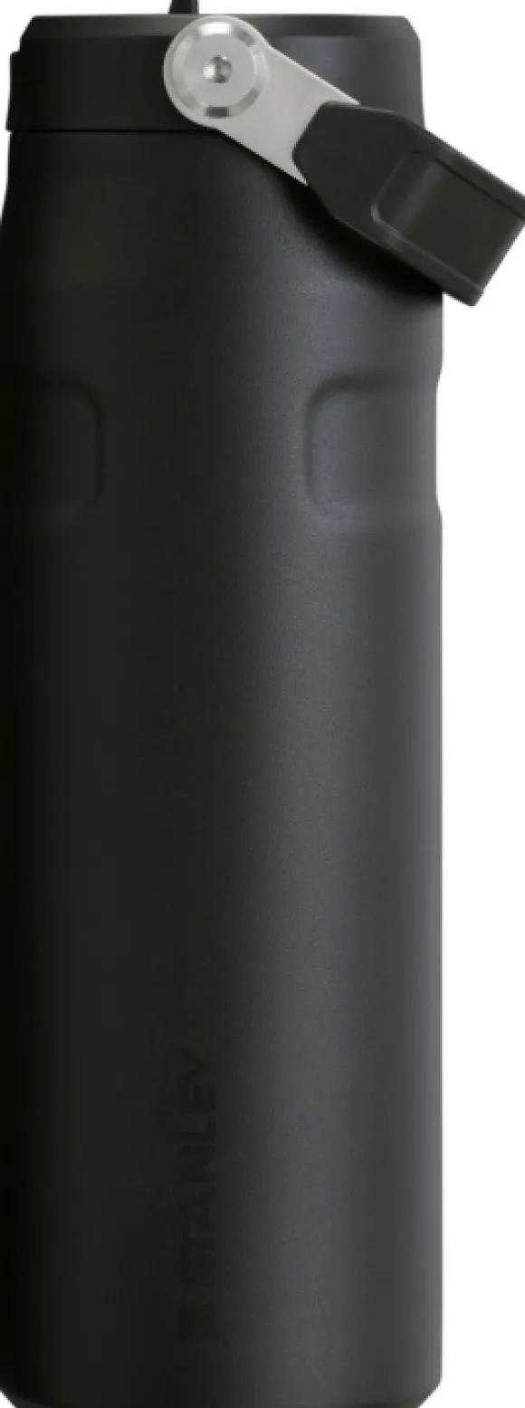 Stanley Iceflow Bottle Flip Straw