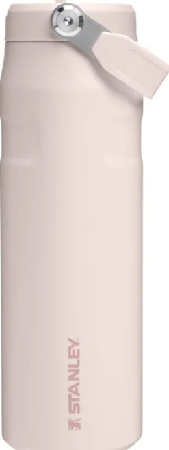 Stanley Iceflow Bottle Flip Straw