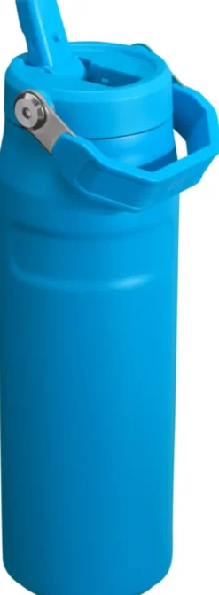 Stanley Iceflow Bottle Flip Straw